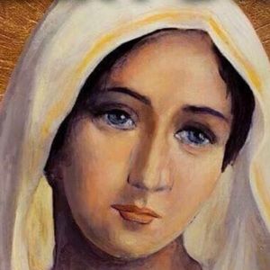 Meet your Posher, Desiree